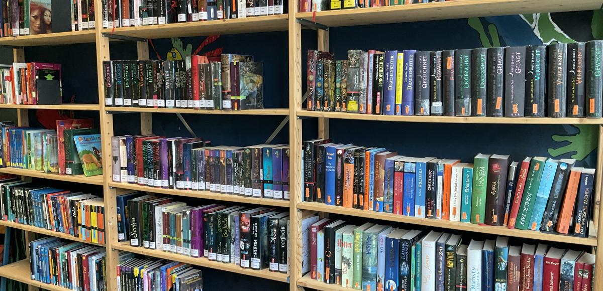 Bild eines vollen Bücherregals
